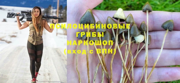 ALPHA-PVP Алексеевка